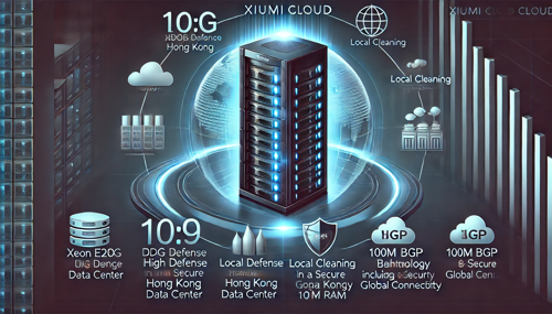 越南CN2服务器带来的低延迟体验