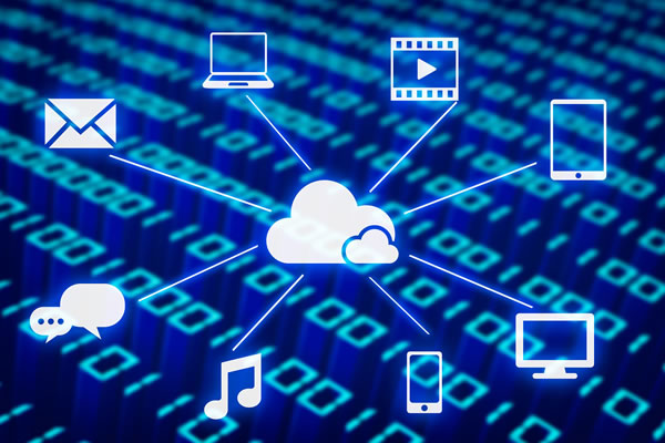 台湾原生IP价格多少钱一个月，详细解读